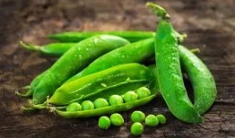 豆子吃瓜链接,揭秘豆子与瓜的奇妙缘分