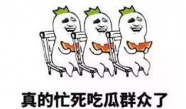 就是我吃我的瓜,品味自家的瓜，共享生活甜蜜