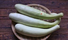 斤瓜怎么吃,解锁瓜类食材的多彩吃法