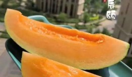 在云南吃瓜蜜,探寻云南特色瓜蜜之旅