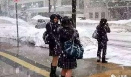 电报加吃瓜裙,揭秘社交新潮流