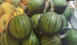 正正吃瓜,揭秘娱乐圈那些不为人知的幕后故事