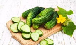 吃瓜群众 三七,三七背后的神奇功效与养生之道