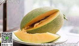 哺乳吃哈密瓜好处,这些好处让你惊喜不已