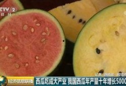 全球吃瓜群众乐子人,乐子人生，笑看风云