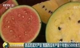 全球吃瓜群众乐子人,乐子人生，笑看风云