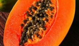 护肤吃瓜头像,美丽从内而外