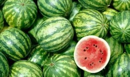 吃瓜猿人,揭秘网络红人的崛起与影响