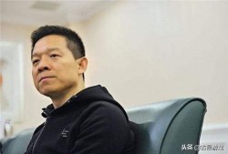 贾跃亭吃瓜群众