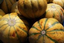 老6吃瓜记,揭秘娱乐圈幕后真相