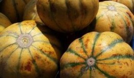 老6吃瓜记,揭秘娱乐圈幕后真相