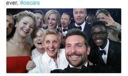 加菲吃瓜奥斯卡,一场萌宠视角的年度盛宴