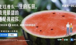 直接到瓜田吃瓜,尽享夏日清凉美味