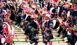 哈尼哈尼吃瓜,哈尼哈尼的夏日吃瓜日记