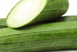 找瓜怎么吃,探索“找瓜”的乐趣与美味吃法