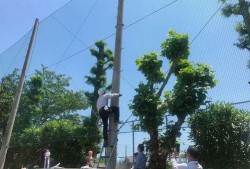 铁柱吃瓜,揭秘娱乐圈背后的那些事儿