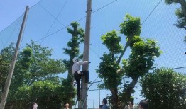 铁柱吃瓜,揭秘娱乐圈背后的那些事儿