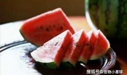 田瓜能调着吃吗怎么吃,探索田瓜的多样烹饪方式