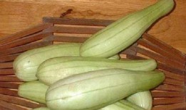 广东夏天吃的瓜,广东夏日特色瓜果大盘点