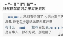 新浪加班吃瓜,揭秘互联网公司幕后生活