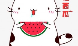 猫咪头像吃瓜图片卡通,卡通猫咪的趣味日常