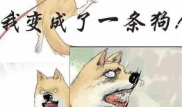 吃瓜遭遇小说,一场穿越时空的奇幻冒险