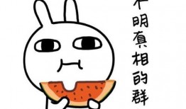 吃瓜聊天语录文案,揭秘吃瓜聊天语录背后的趣味与智慧