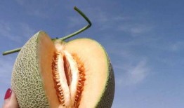 吃一斤哈密瓜会上火吗吗