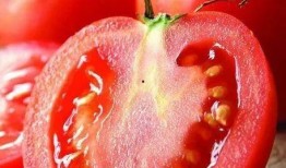 吃瓜西红柿嘴疼,揭秘网络热议背后的真相与反思