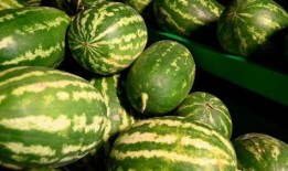 长垣吃瓜事件东关,吃瓜事件背后的社区冲突与反思