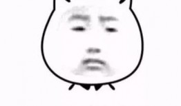 斗图吃荧光瓜,一场视觉与味觉的双重盛宴