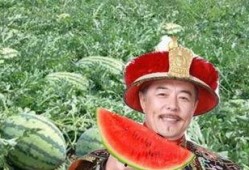 皇帝吃瓜杀瓜农,从吃瓜杀瓜农到反思权力滥用