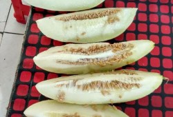 园仔吃瓜,揭秘娱乐圈的甜蜜与苦涩