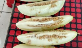 园仔吃瓜,揭秘娱乐圈的甜蜜与苦涩