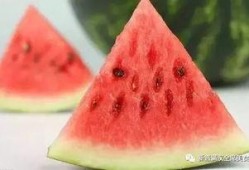 关于吃瓜的谚语,吃瓜谚语里的智慧与哲理