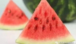 关于吃瓜的谚语,吃瓜谚语里的智慧与哲理