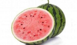 吃麒麟瓜的感受,舌尖上的甜蜜邂逅