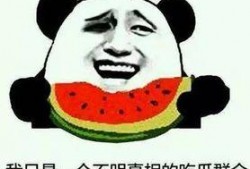 吃瓜就行,吃瓜群众视角下的娱乐圈风云