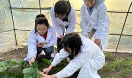 吃瓜路人扬州大学