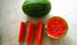 叶珂吃瓜整理,揭秘娱乐圈幕后故事