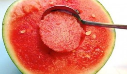 下雨吃瓜原视频,一场别开生面的下雨吃瓜盛宴