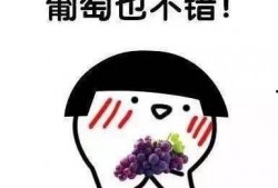 聊天带吃瓜表情包,吃瓜群众狂欢！揭秘娱乐圈最新热点事件