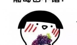 聊天带吃瓜表情包,吃瓜群众狂欢！揭秘娱乐圈最新热点事件