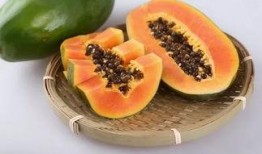 蜜瓜怎么吃才正确,解锁正确品尝蜜瓜的秘诀