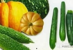 啊水吃瓜,揭秘娱乐圈幕后故事