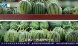 彩虹秘蜜吃瓜,揭秘吃瓜背后的甜蜜秘密