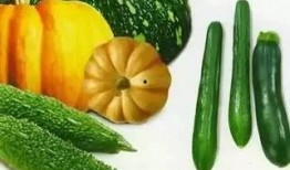 江丙瓜怎么吃,解锁美味新境界