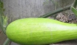 砍瓜怎样炖着吃