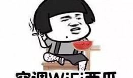 吃瓜群众下一句,揭秘“吃瓜群众”背后的网络现象与心理分析