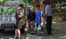 吃瓜群众看风景,吃瓜群众视角下的风景盛宴